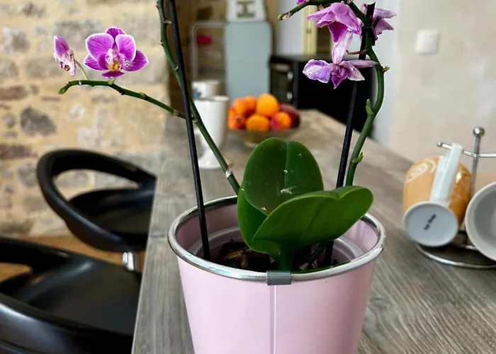 アパート Le Cocon De *